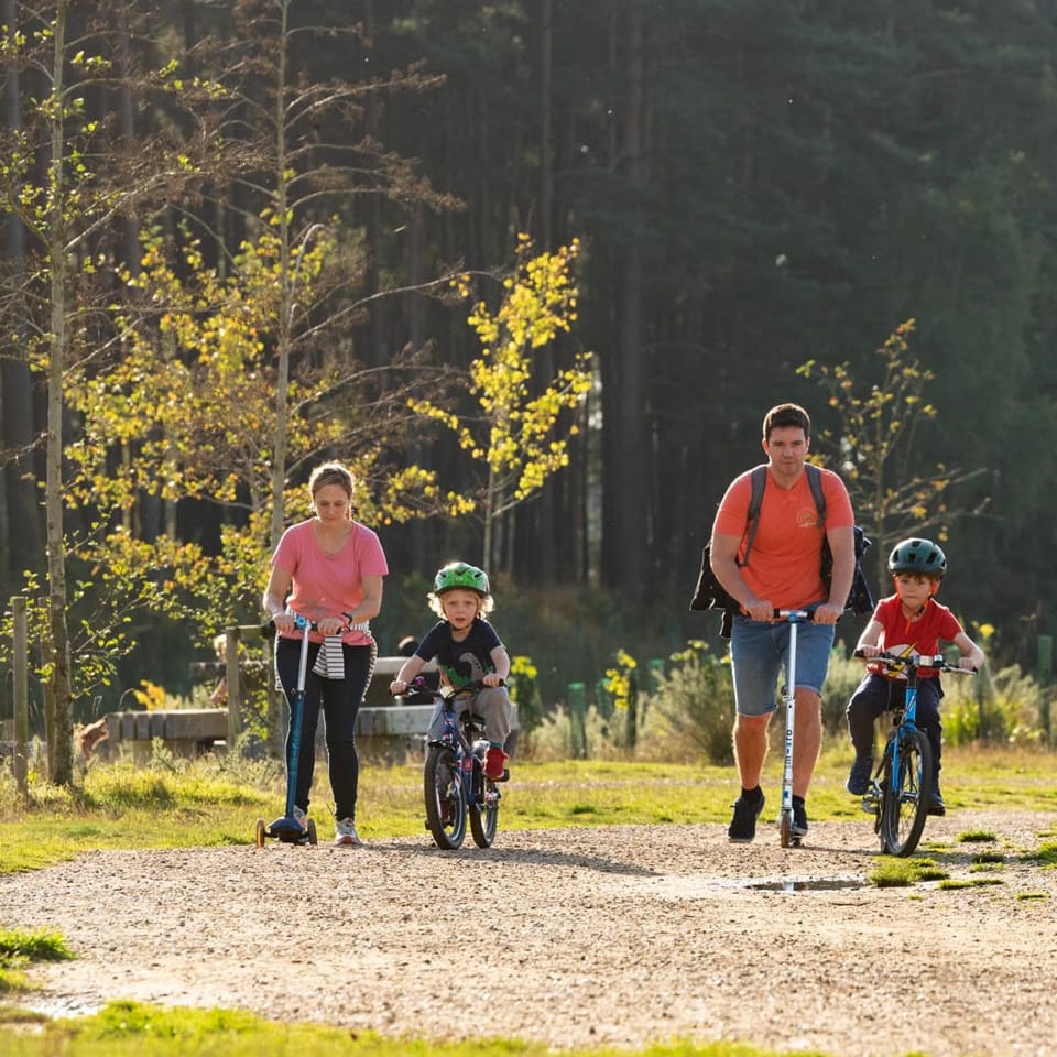 Paths and open spaces which prioritise pedestrians and cyclists